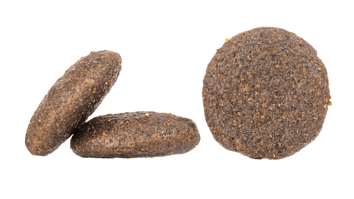 Rabbit & Lamb Dry Dog Food (Canada)