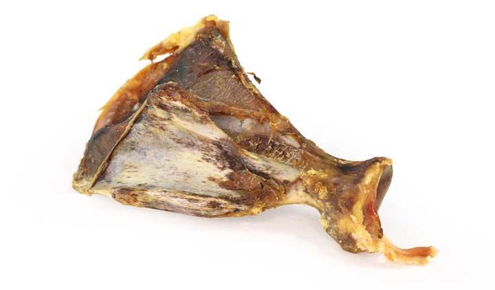 Pig’s Shoulder Bone - Single