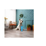 All For Paws Chill Out Frosty Lick