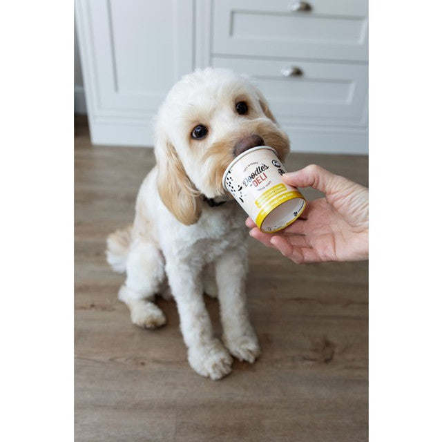 Doodles Deli Vanilla Frozen Doggy Treats 125ml