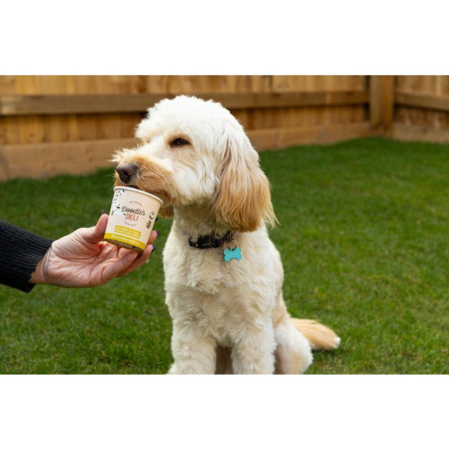 Doodles Deli Beef Frozen Doggy Treats 125ml