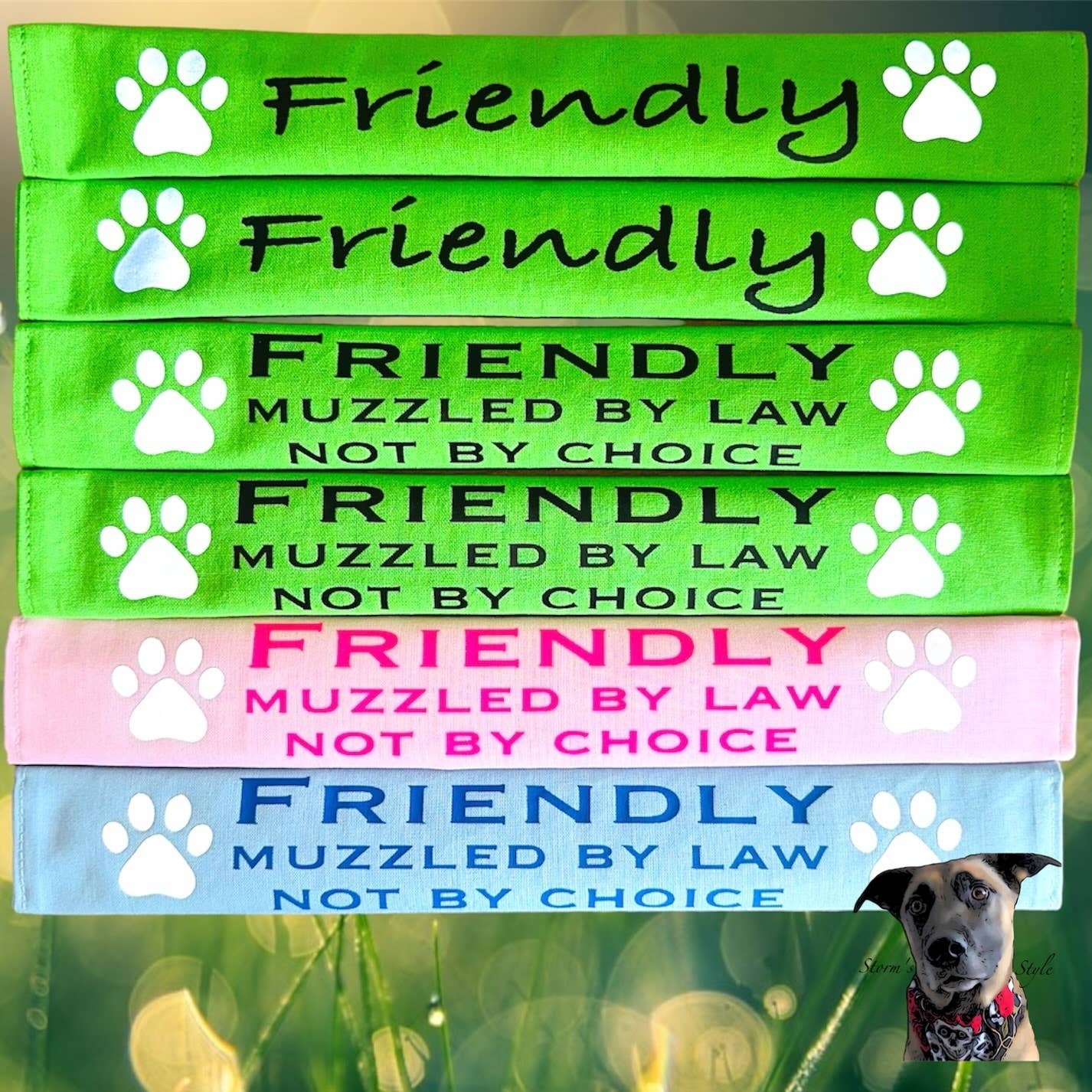 Lead Slips - Reactive, Nervous, Blind, Deaf, Friendly