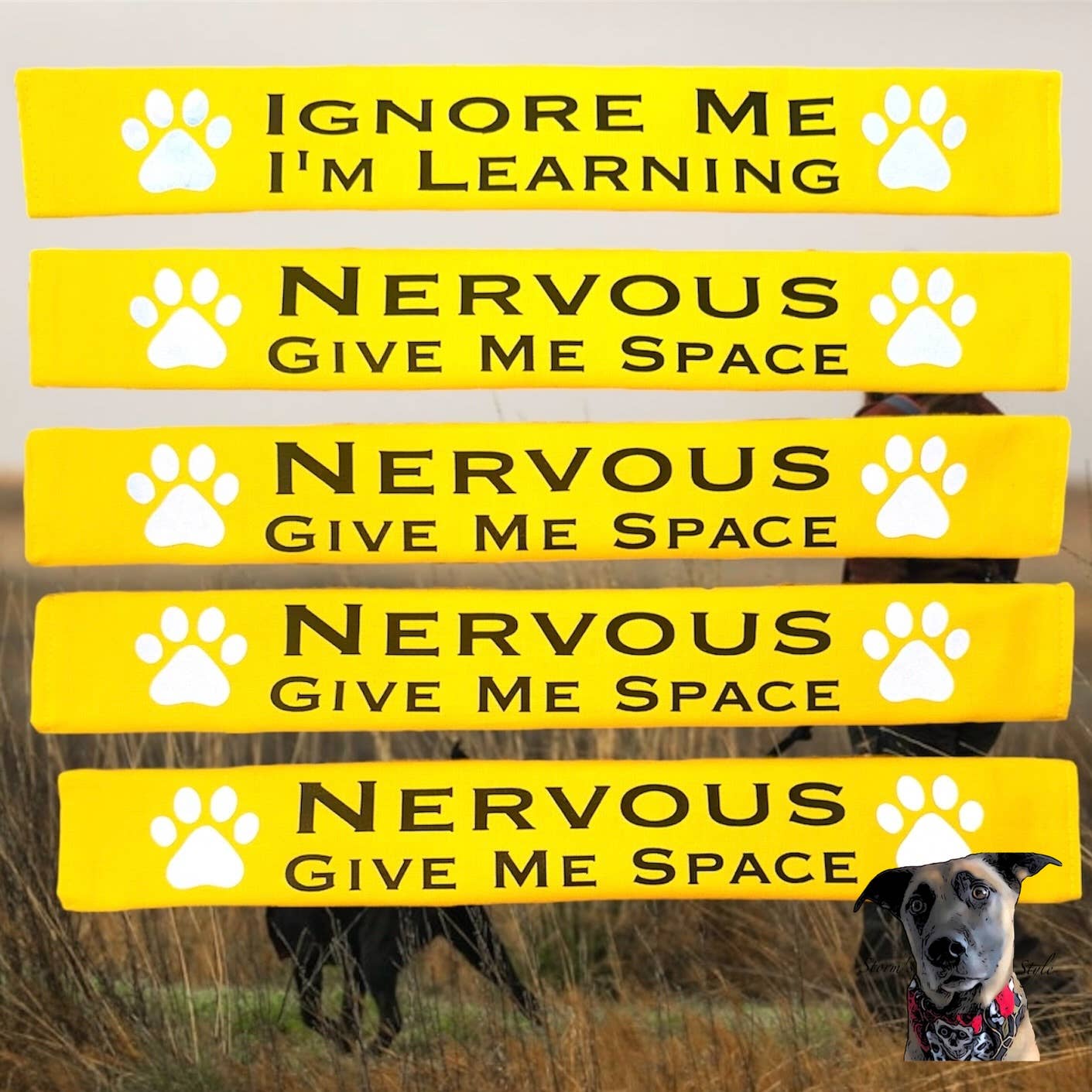 Lead Slips - Reactive, Nervous, Blind, Deaf, Friendly