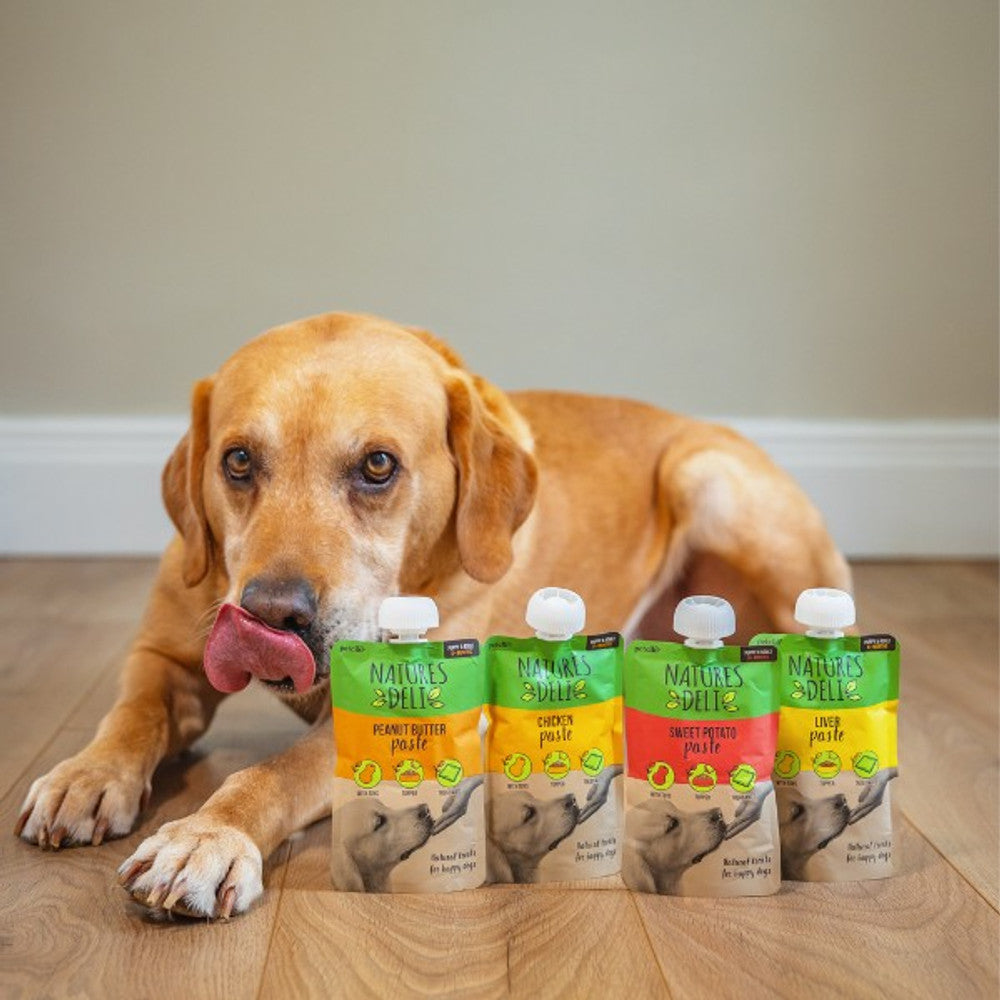 Natures Deli Paste Pouches 100G