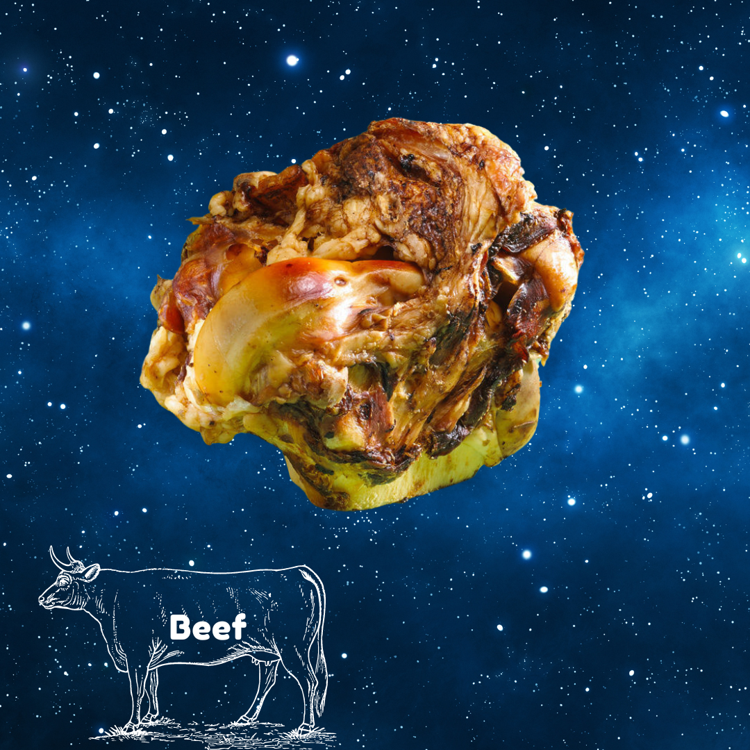 Pup Planet Deli - Roast Knuckle Bone - Single