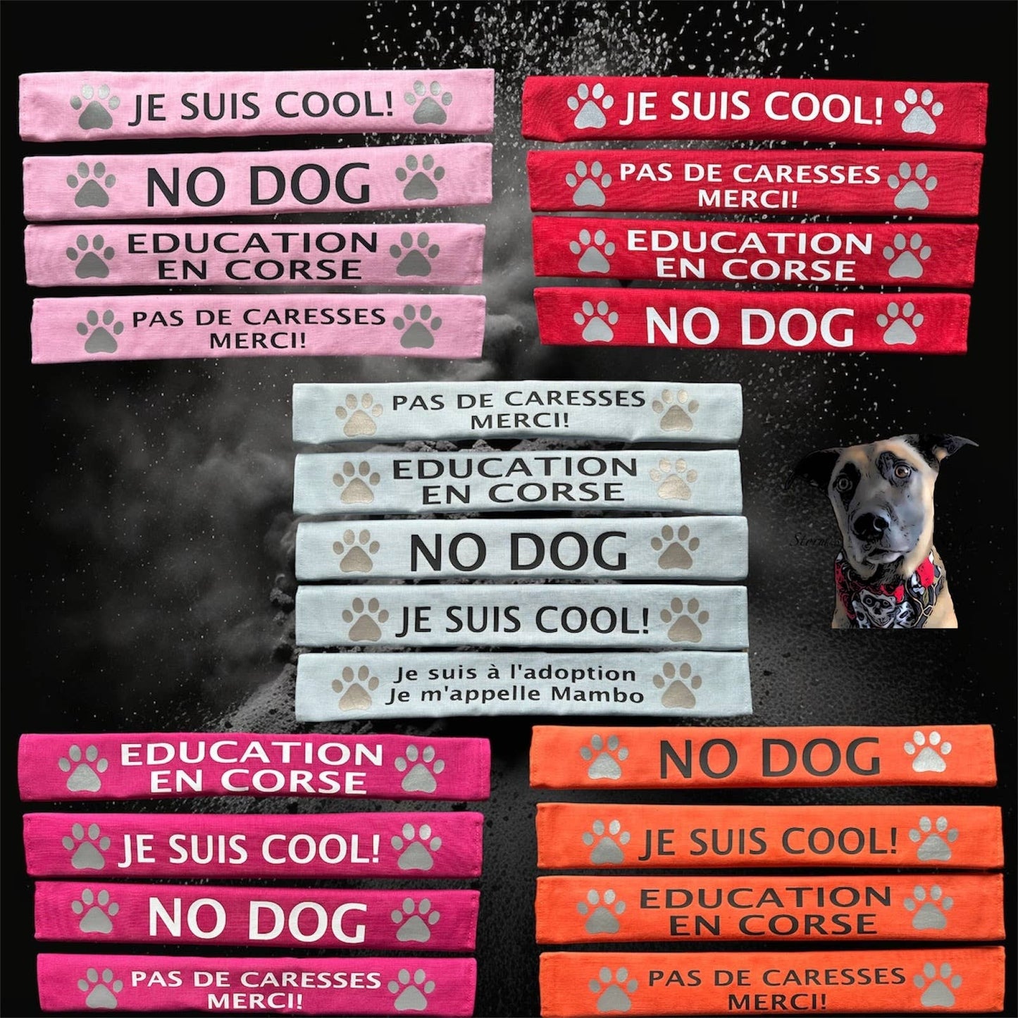 Lead Slips - Reactive, Nervous, Blind, Deaf, Friendly