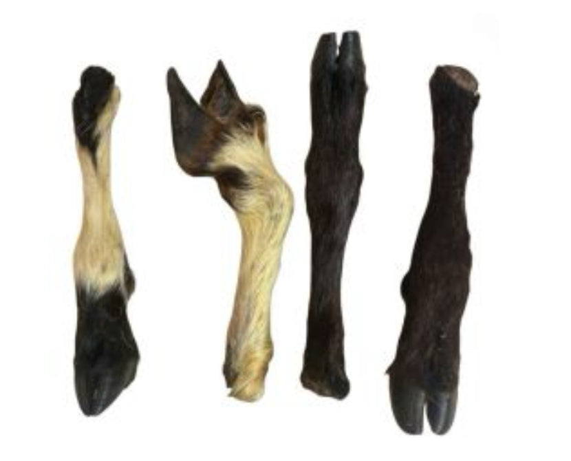 Hairy Lamb Trotter (single)