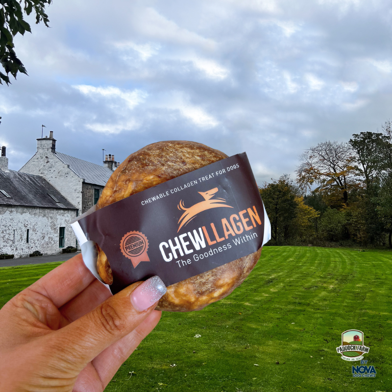 Chewllagen Beef Donut