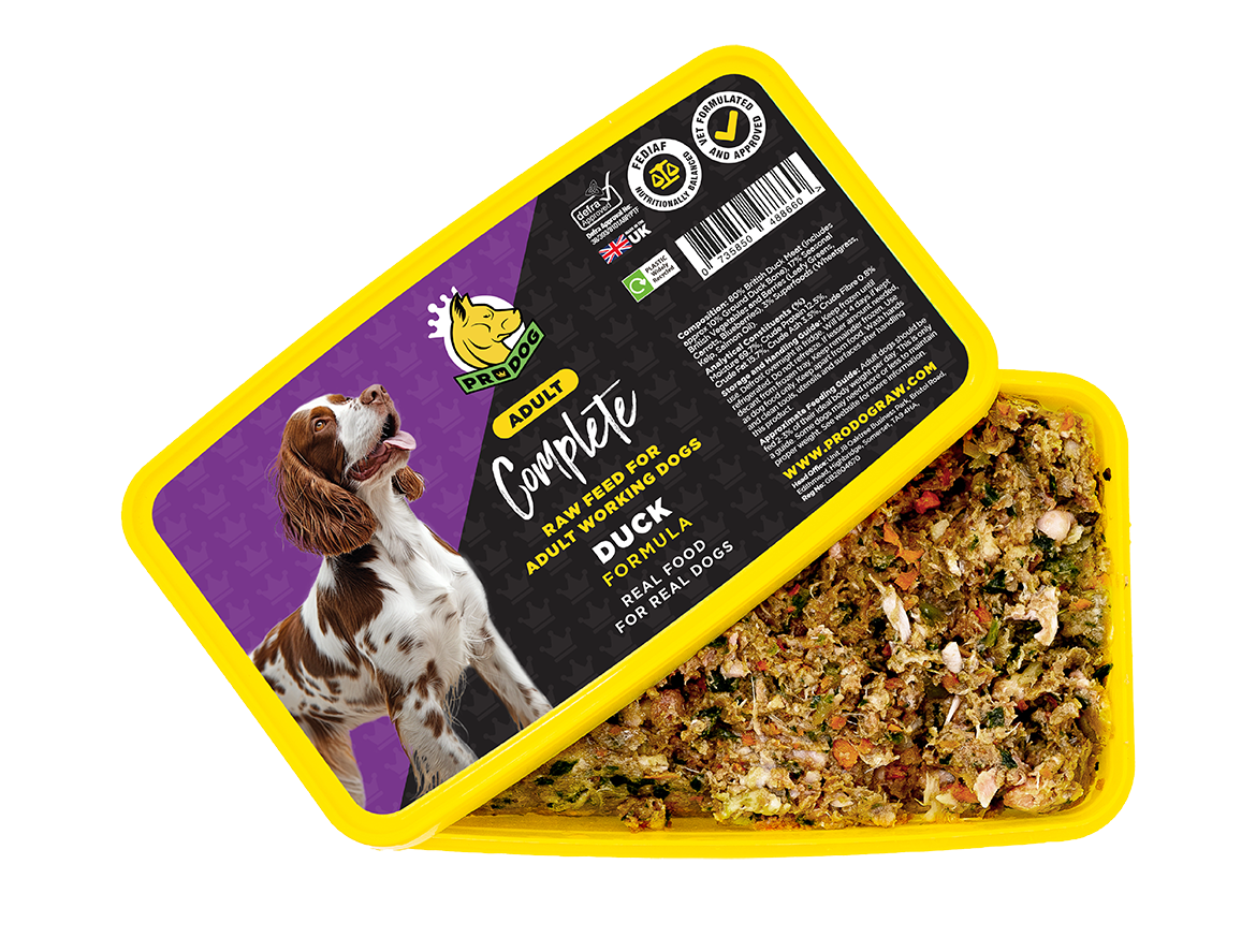 Complete - Duck ProDog Raw Dog Food 1KG