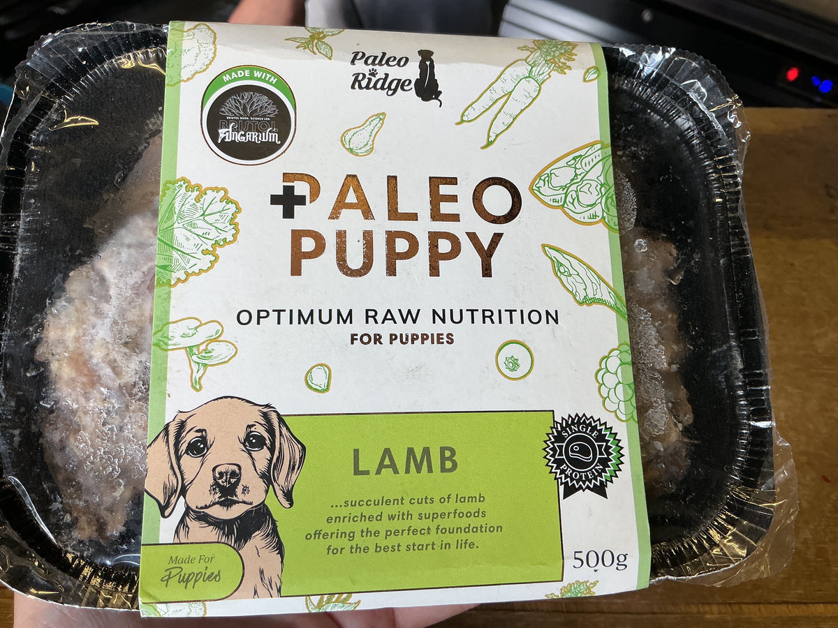 Paleo Ridge Puppy Lamb 500G