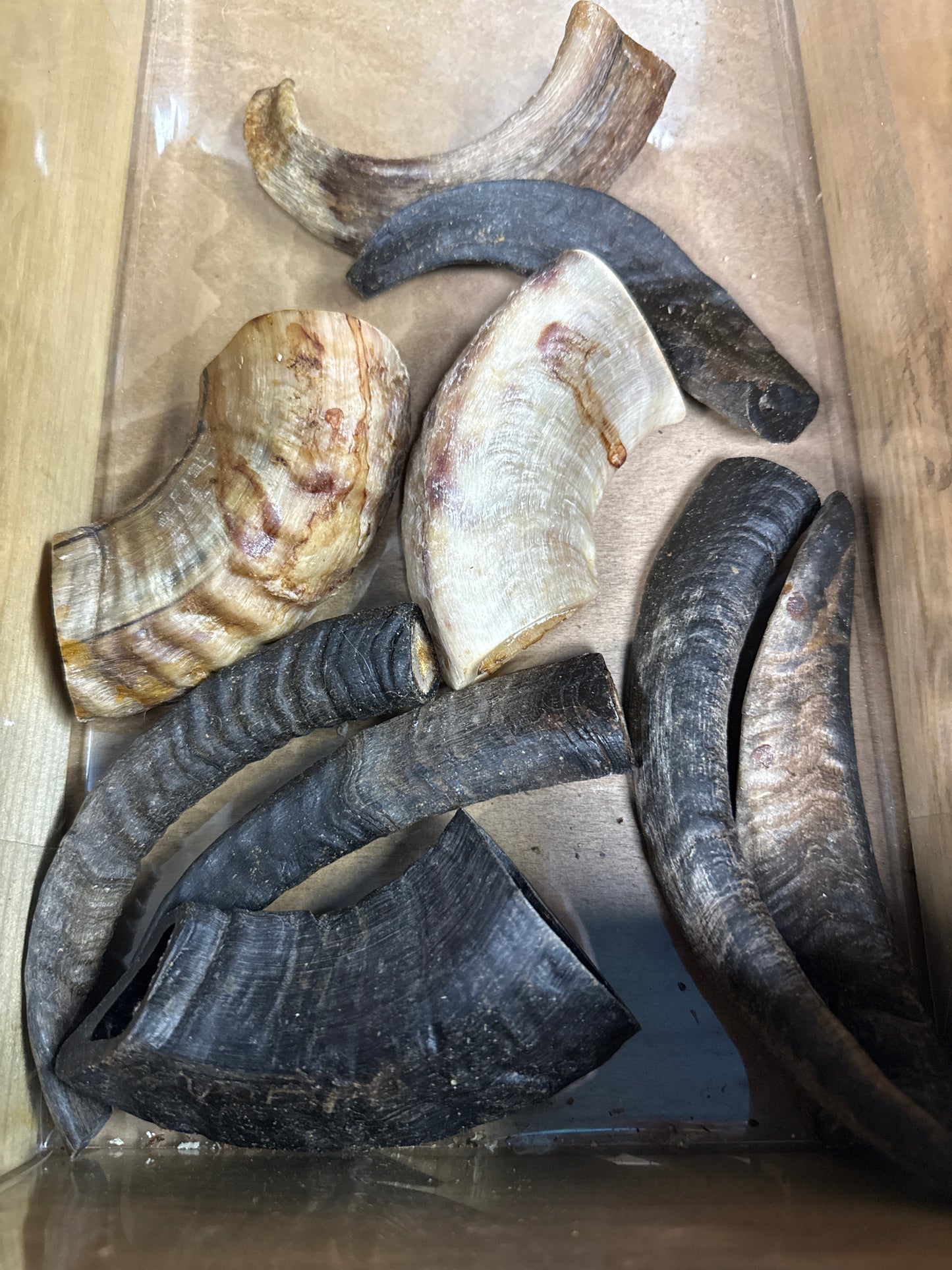 Air Dried Ram Horn (lamb) - Single