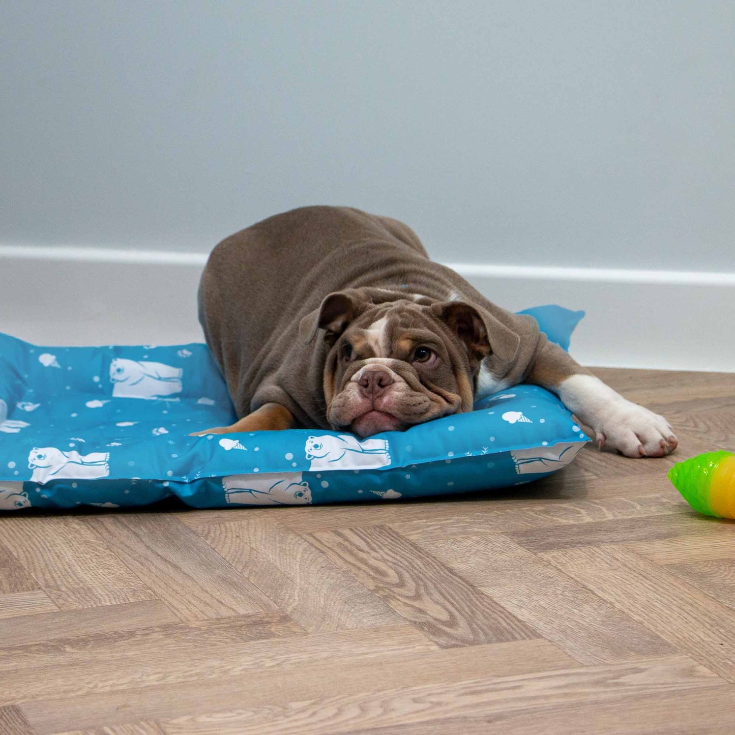 Ancol Ice Paws Cooling Mat - Large
