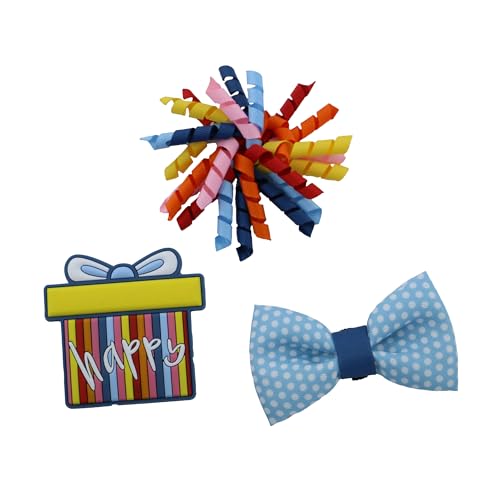 Birthday Set of Collar Accessories