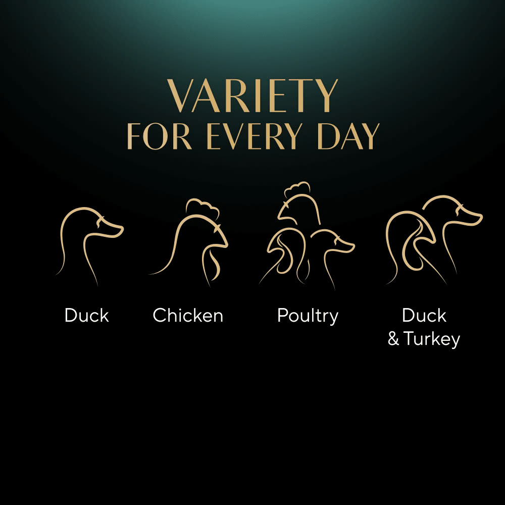 Sheba Fine Flakes Poultry Selection in Jelly x 80
