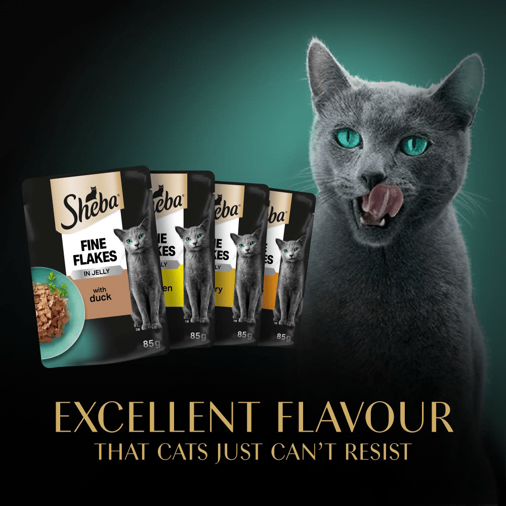 Sheba Fine Flakes Poultry Selection in Jelly x 80