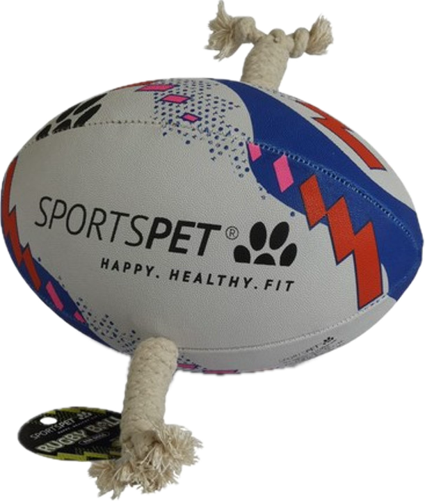 SportsPet Rugby Ball