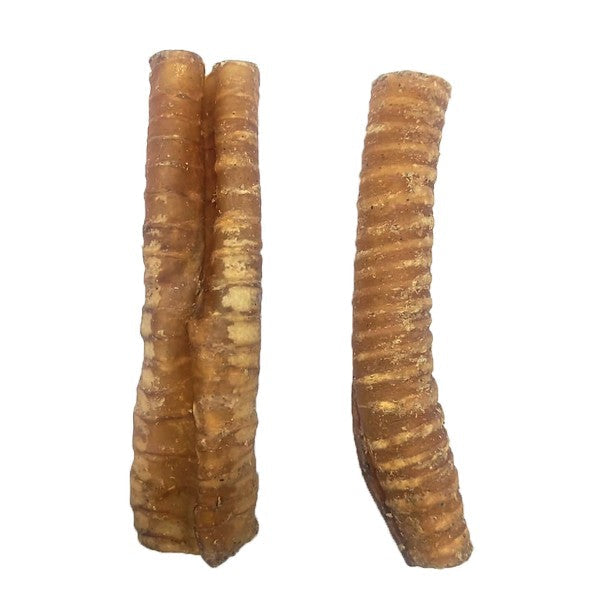 Water Buffalo Trachea 15cm Single
