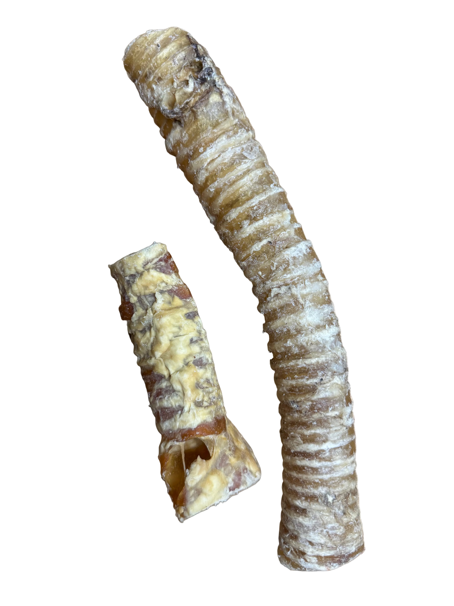 Air Dried Beef Trachea SMALL 12cm - single