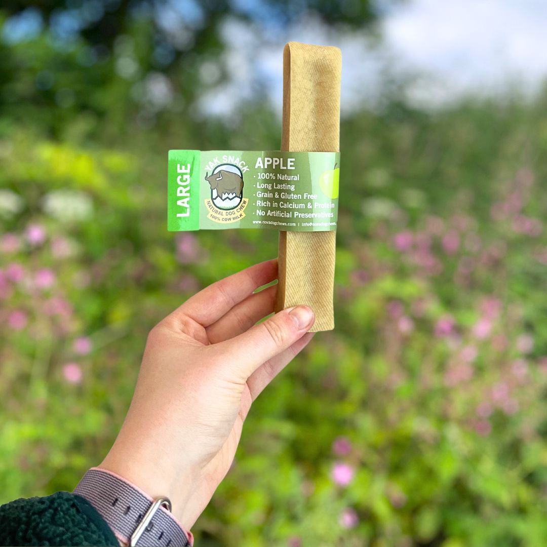 Pup Planet Deli - Yak Snack Apple
