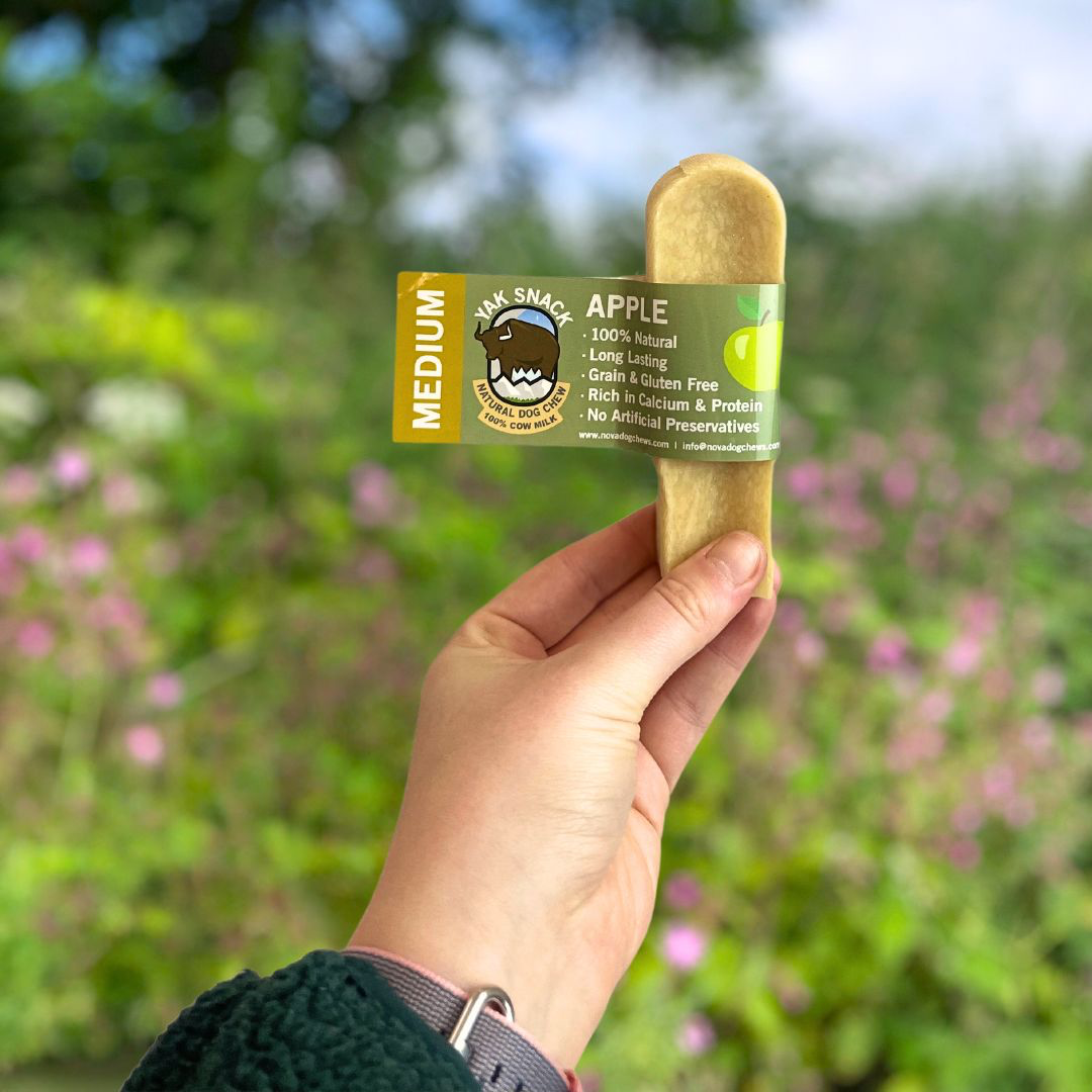Pup Planet Deli - Yak Snack Apple