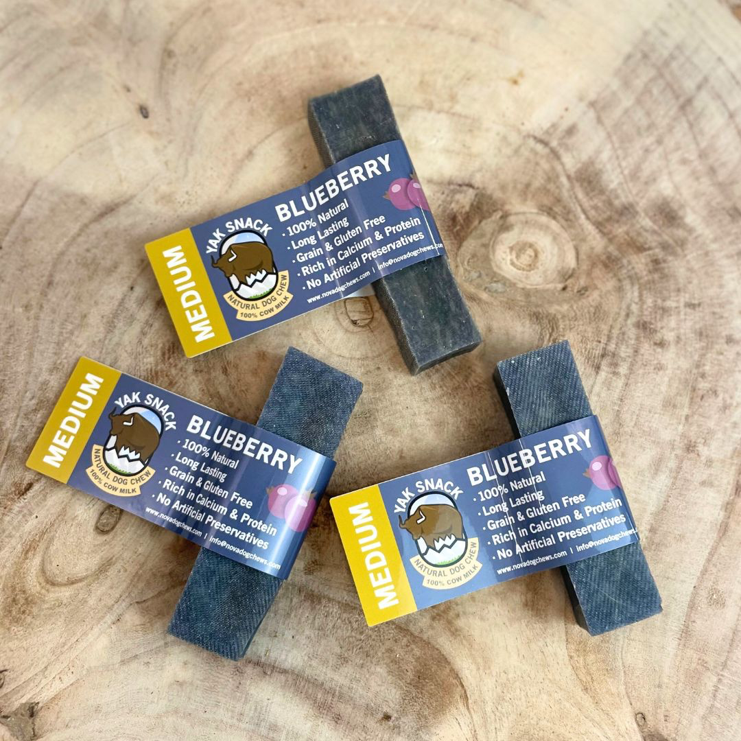 Pup Planet Deli - Yak Snack Blueberry