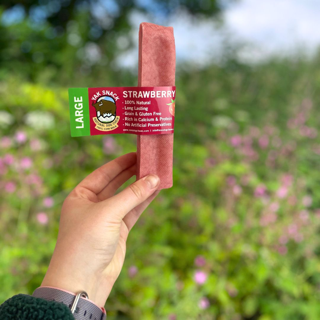 Pup Planet Deli - Yak Snack Strawberry
