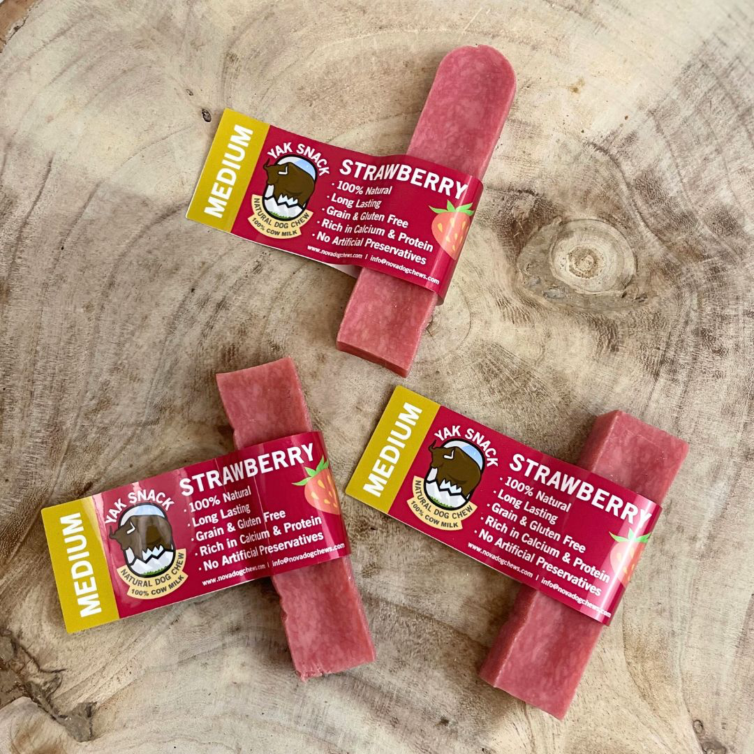 Pup Planet Deli - Yak Snack Strawberry