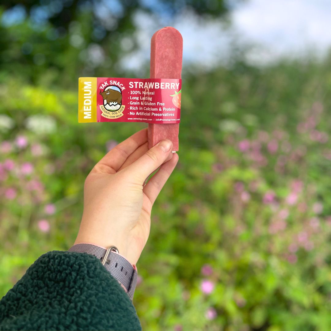 Pup Planet Deli - Yak Snack Strawberry