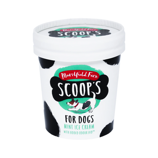 Scoops Mint Ice Cream for Dogs with odour aid supplement 125ml