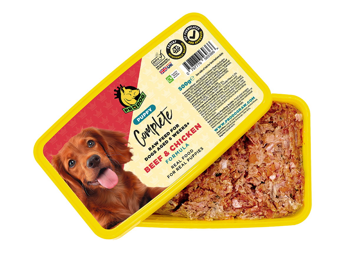Puppy - Beef & Chicken ProDog Raw Dog Food 500G