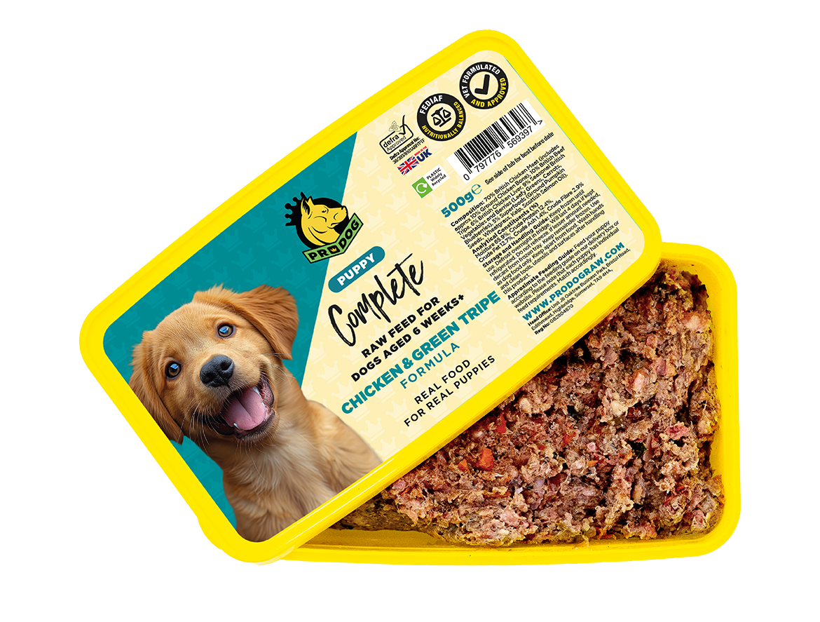 Puppy - Chicken with Green Tripe ProDog Raw Dog Food 500G