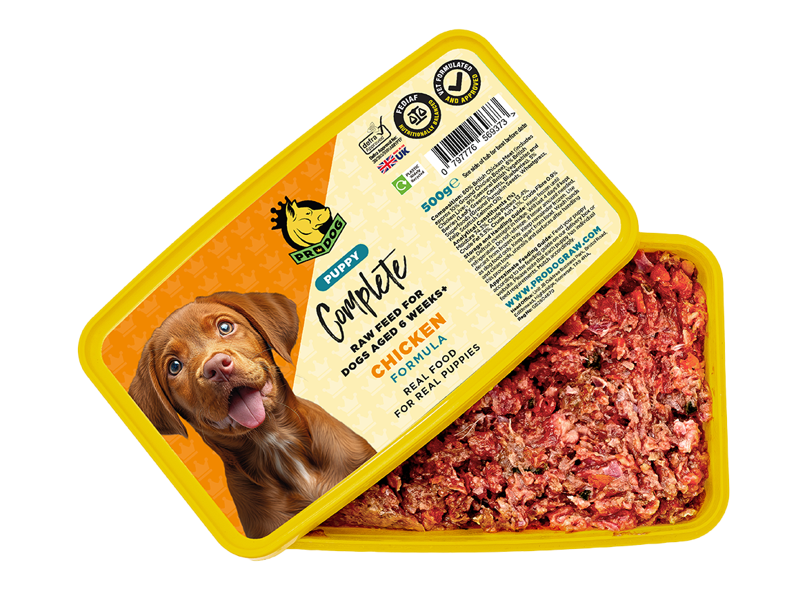 Puppy - Chicken ProDog Raw Dog Food 500G