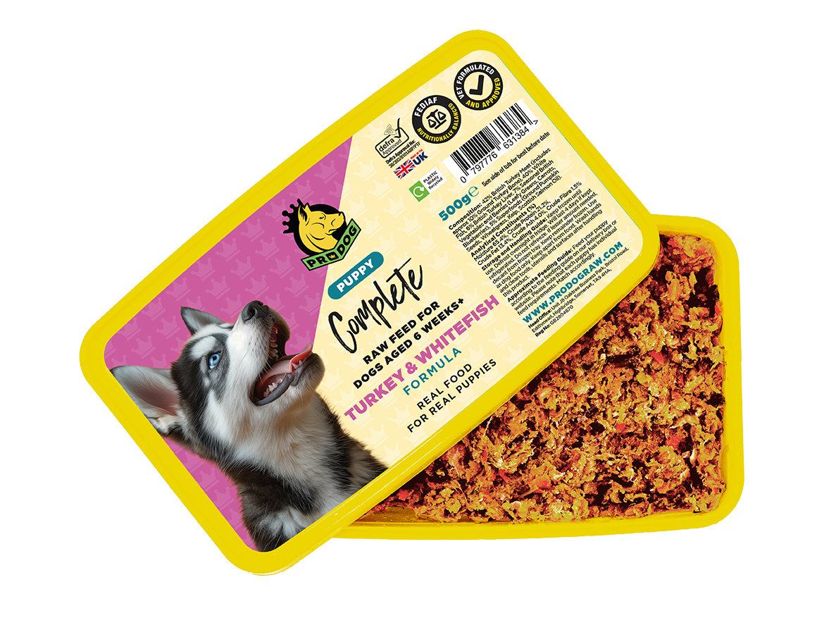 Puppy - Turkey & Whitefish ProDog Raw Dog Food 500G