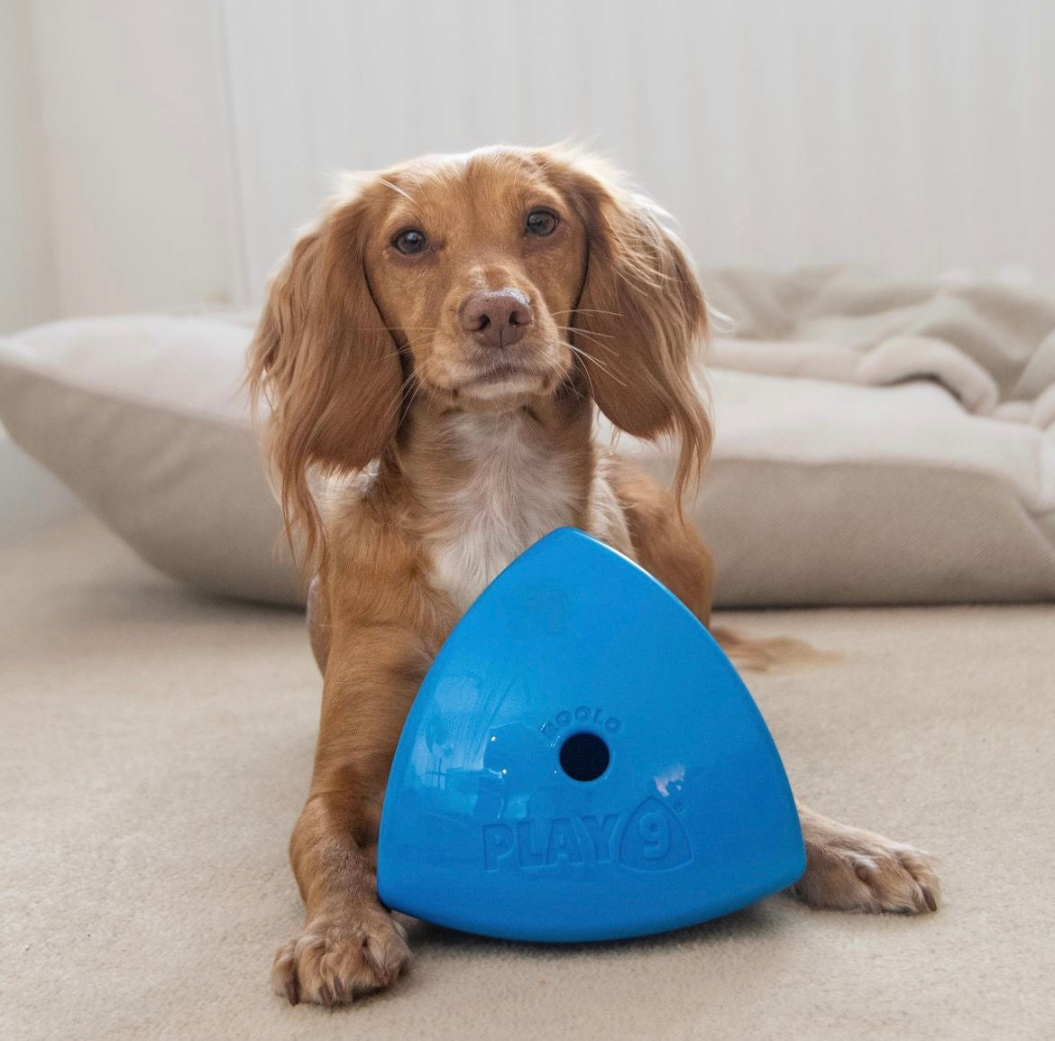 The Roolo® Dog Treat Dispenser