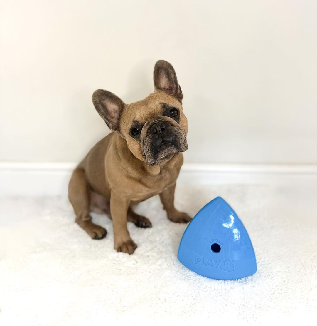 The Roolo® Dog Treat Dispenser