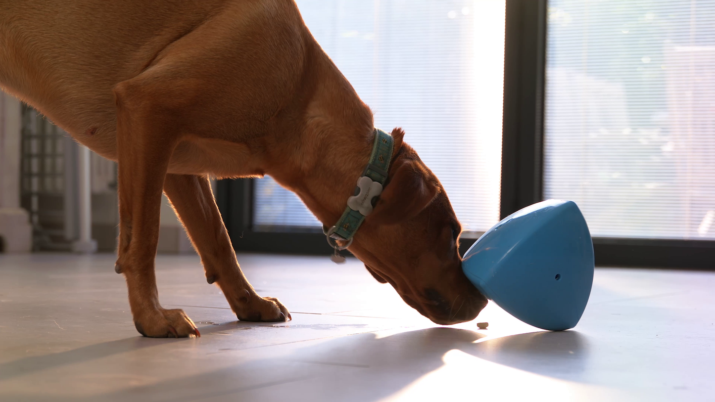 The Roolo® Dog Treat Dispenser