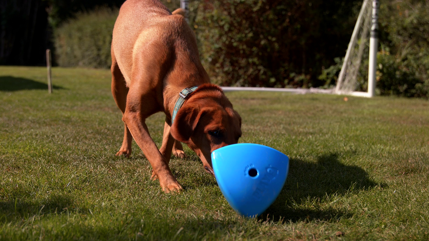The Roolo‚® Dog Treat Dispenser