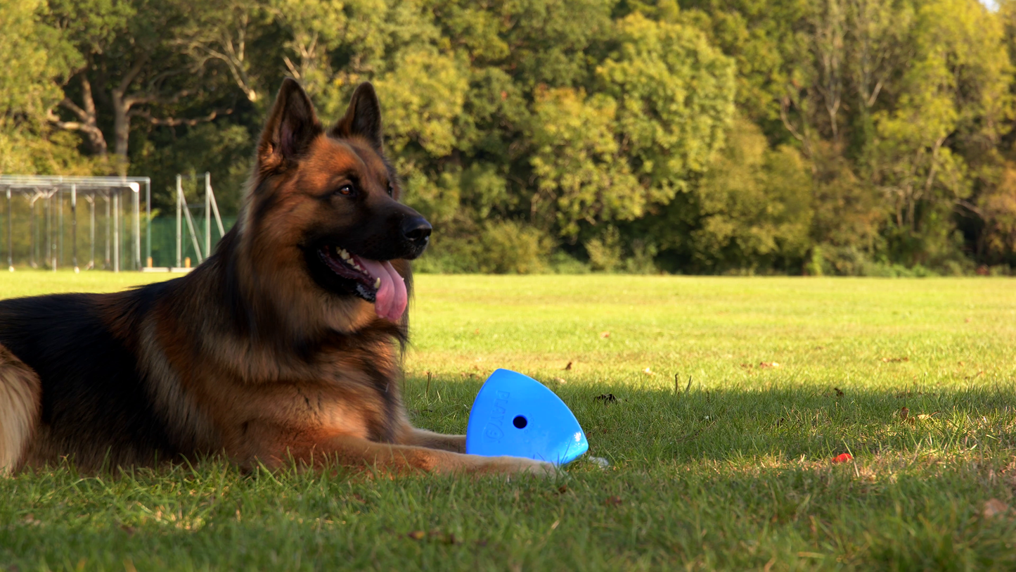 The Roolo® Dog Treat Dispenser