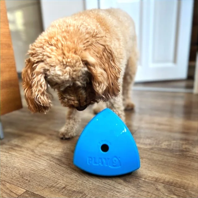 The Roolo® Dog Treat Dispenser