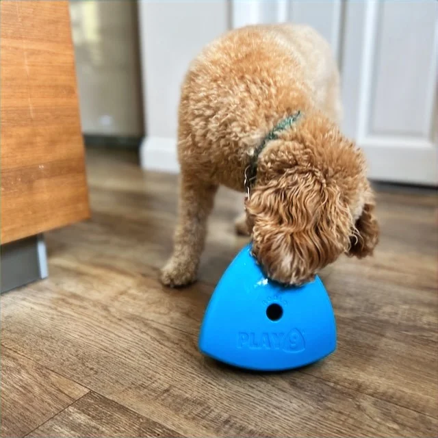 The Roolo® Dog Treat Dispenser