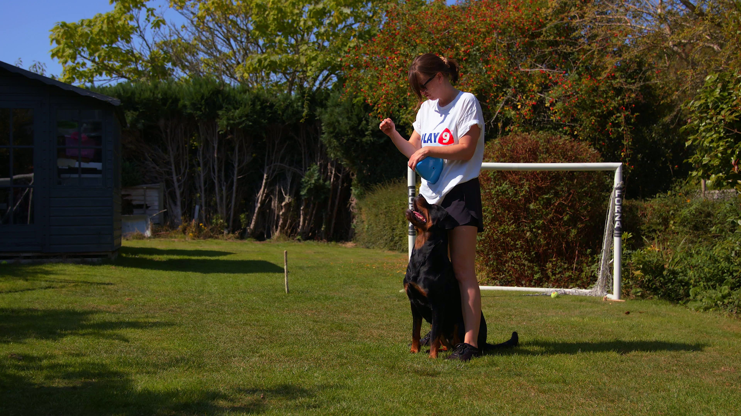 The Roolo® Dog Treat Dispenser