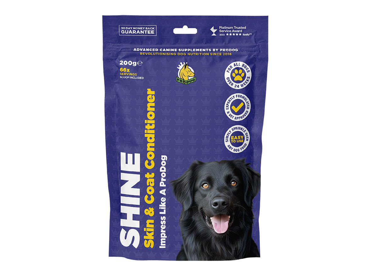 ProDog Shine Skin & Coat Supplement for Dogs