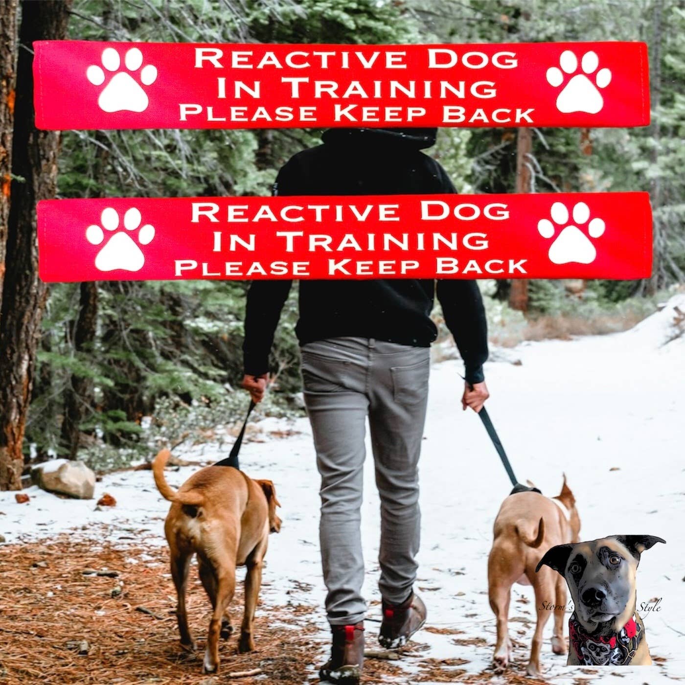 Lead Slips - Reactive, Nervous, Blind, Deaf, Friendly