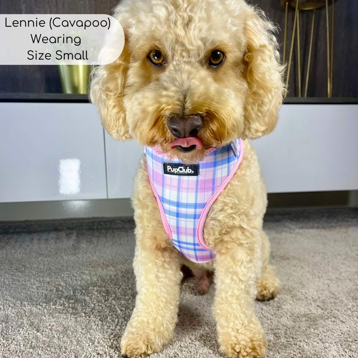 Adjustable Harness - Pink Tartan