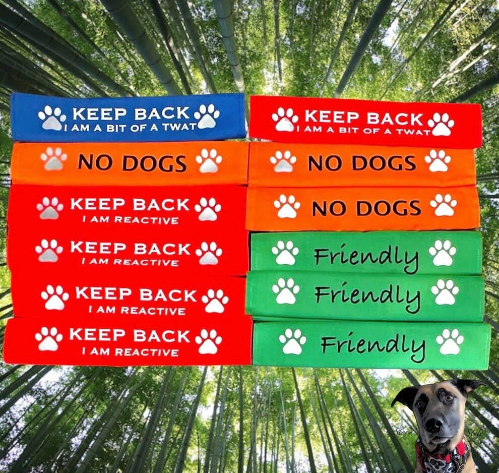 Lead Slips - Reactive, Nervous, Blind, Deaf, Friendly