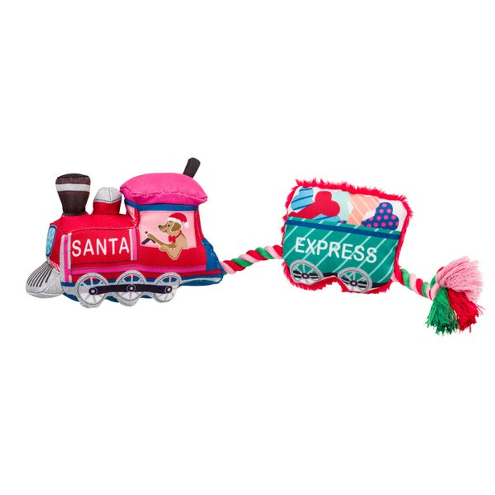 Merry & Bright Santa Paws Express Dog Toy