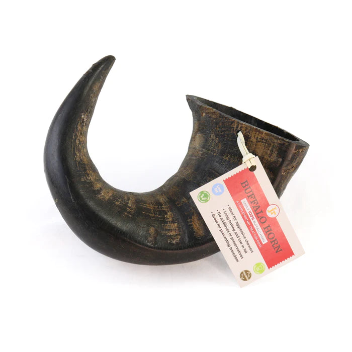 Buffalo Horn - Large