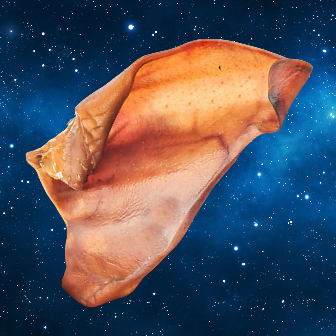 Pup Planet Deli - Pig Ear