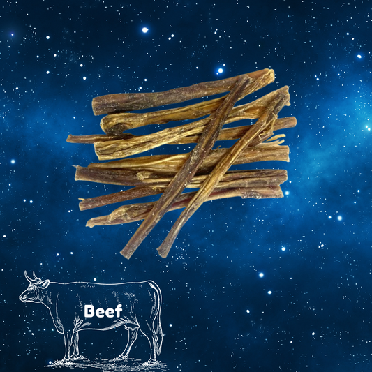 Pup Planet Deli - Bulls (beef) Pizzle