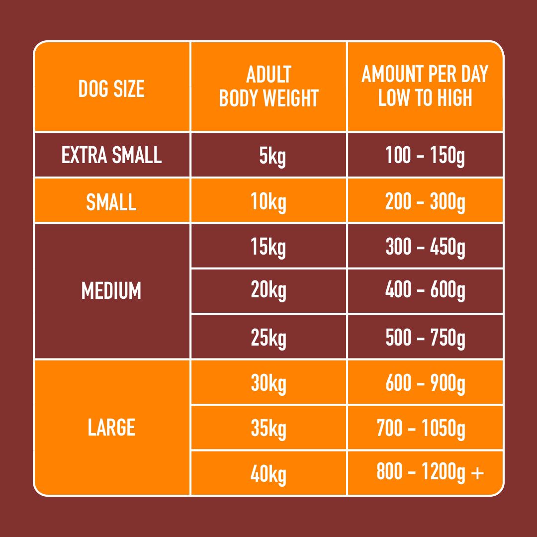 Chart detailing dog size, adult body weight, and recommended daily food amount on a brown background.